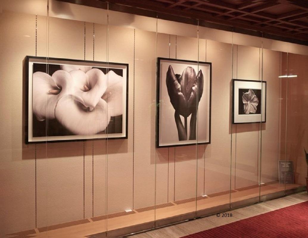 Zen Beauty - Photographie contemporaine en noir et blanc de la série Flower - support - Noir Figurative Photograph par MAE Curates