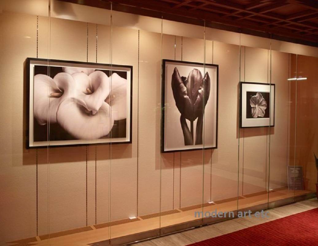Zen-Schönheit – Blumenporträt-Serie – matt und rahmenfertig (16 x 21 Zoll Bild) (Zeitgenössisch), Photograph, von MAE Curates