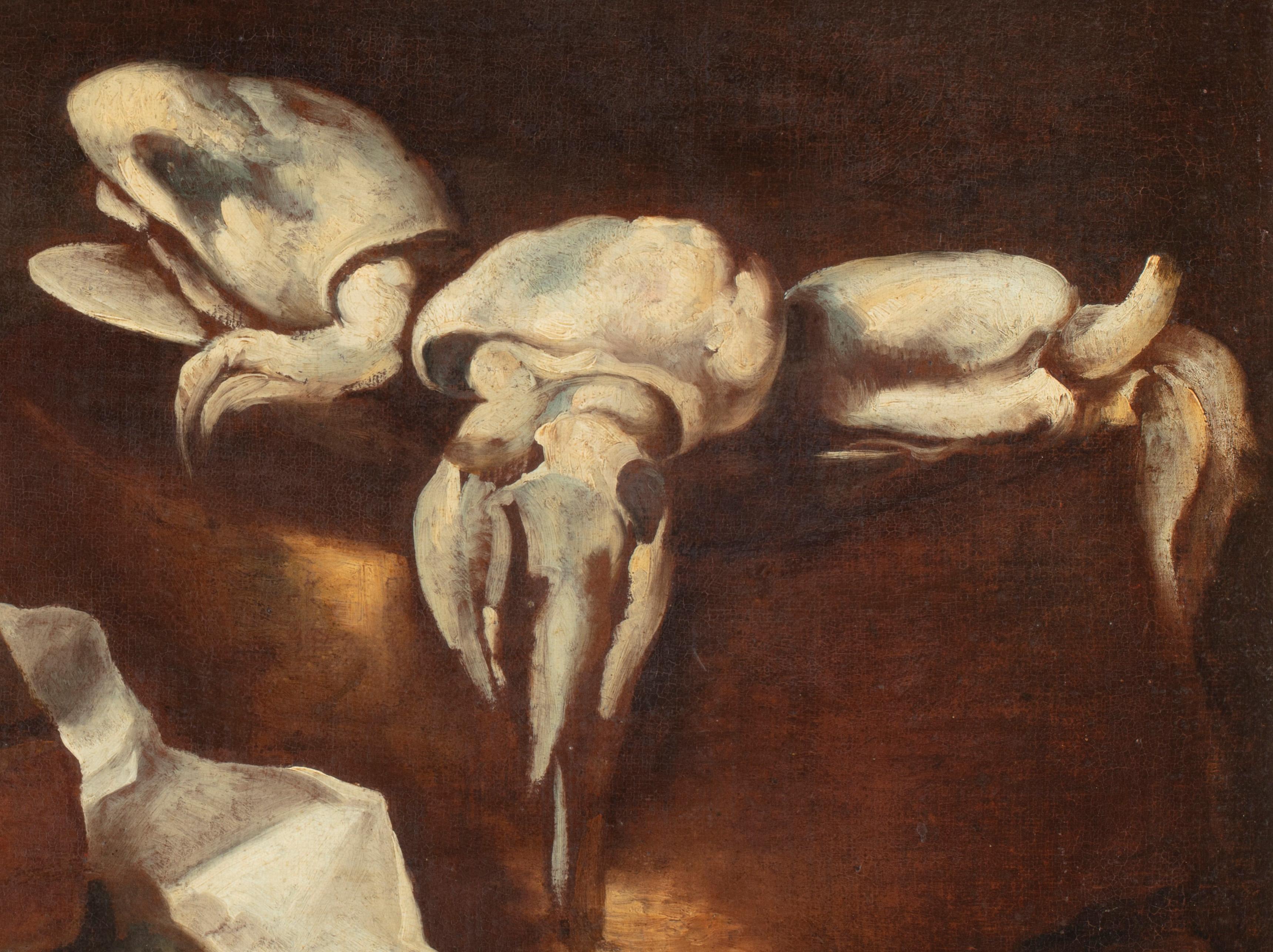 17. Jahrhundert von Neapolitanischer Meister Stillleben mit Tintenfisch Öl auf Leinwand (Braun), Still-Life Painting, von Maestro active in Naples in the 17th century