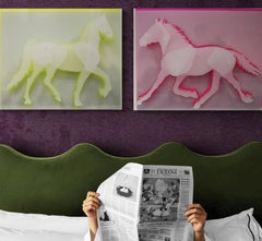 "Electric Pony 1" -  frosted and fluorescent acrylic