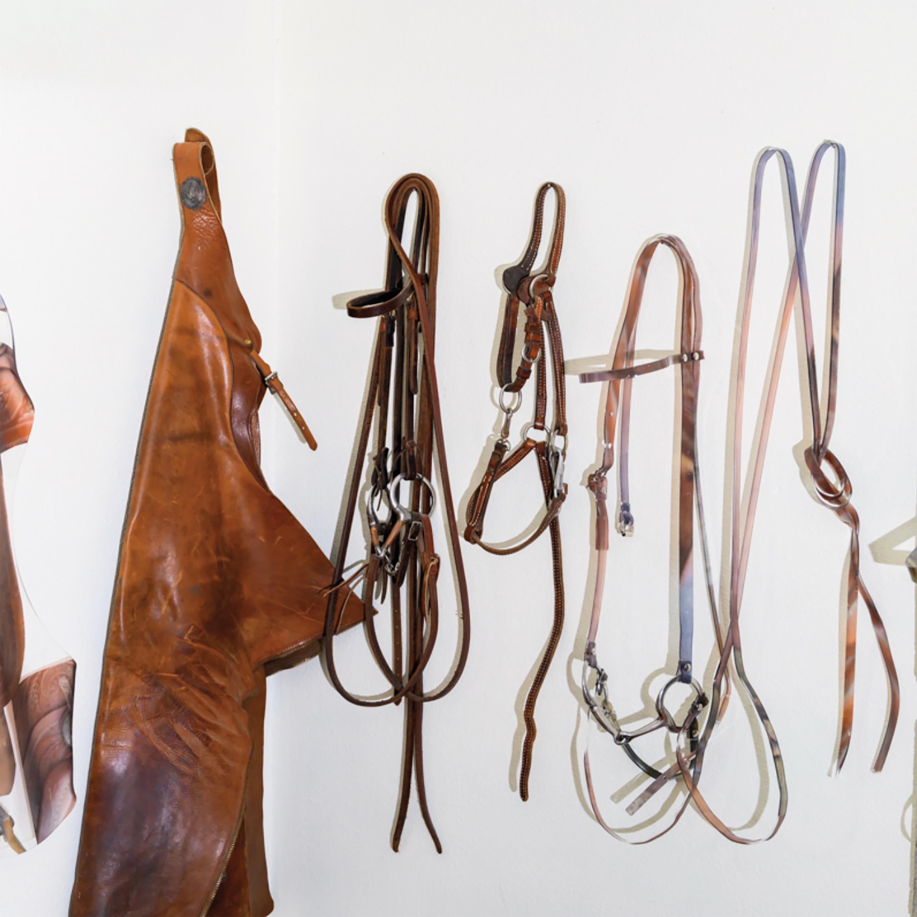 „Tack Room Wall“ – UV-Tintendruck auf Acryl von Hand geformt  – Sculpture von Maeve Eichelberger