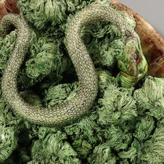 Piastra da parete in maiolica con lucertola e serpente di Mafra Palissy