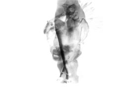Div-Ine III. Limited edition B&W Abstract Figurative Photographs 