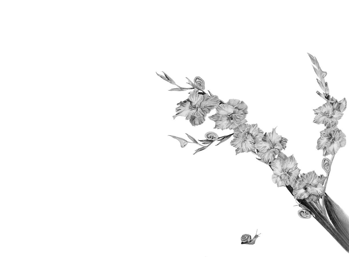 Orejas de metamorfosis. Edición limitada Fotografía del dibujo original del artista