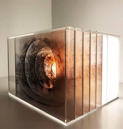 O Cavalo 'The Horse. Sculpture Lightbox Made of Multiple Exposure Photograph