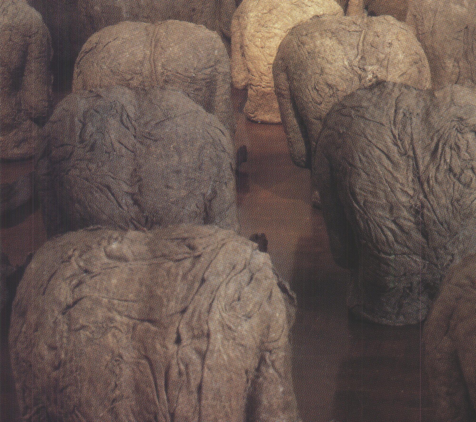 abakanowicz magdalena paintings online