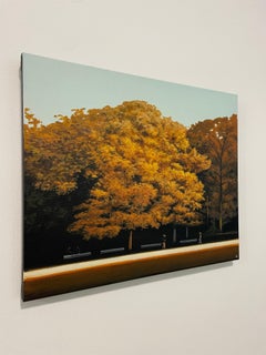 Autumn landscape - landscape painting