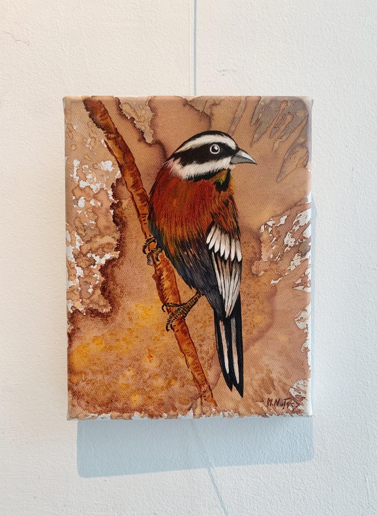 Pájaros 1. Pintura al óleo figurativa a pequeña escala, Realista, Animales, Arte polaco - Painting de Magdalena Nałęcz