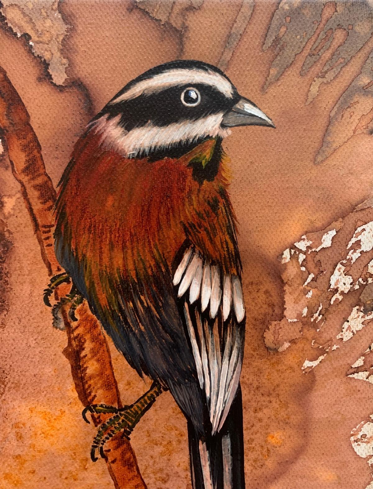 Pájaros 1. Pintura al óleo figurativa a pequeña escala, Realista, Animales, Arte polaco - Animal Painting Marrón de Magdalena Nałęcz