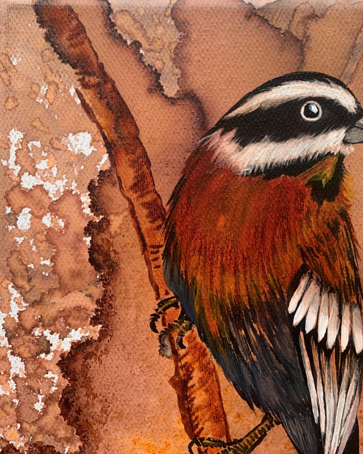 Pintura figurativa contemporánea al óleo sobre lienzo a pequeña escala de la artista polaca Magdalena Nalecz. La obra representa un pájaro sobre un fondo abstracto.  

Magdalena Nałęcz (n. 1970) Se licenció en la Academia de Bellas Artes de Cracovia