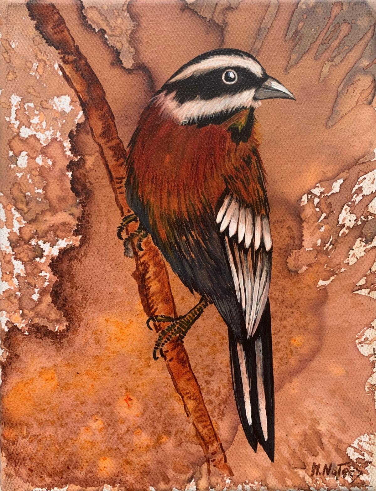 Uccelli 1. Pittura ad olio figurativa in scala ridotta, Realistica, Animali, Arte polacca