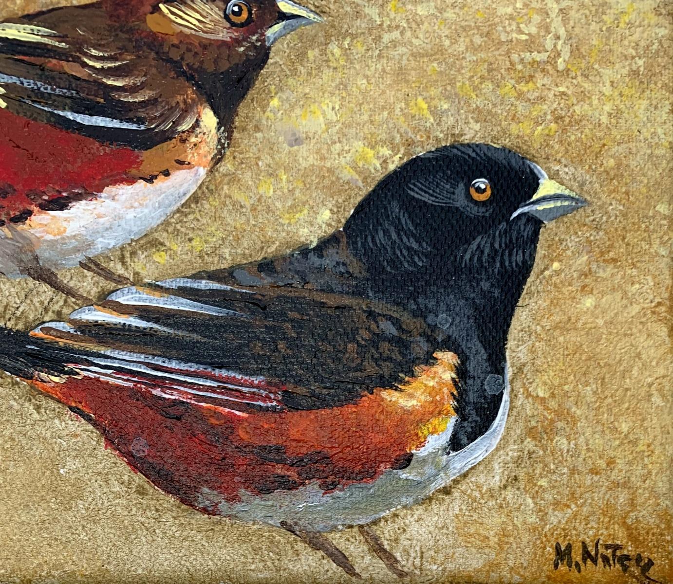 Large ground finch - Figurative, Acrylic, Animals, Polish artist - Other Art Style Painting by Magdalena Nałęcz