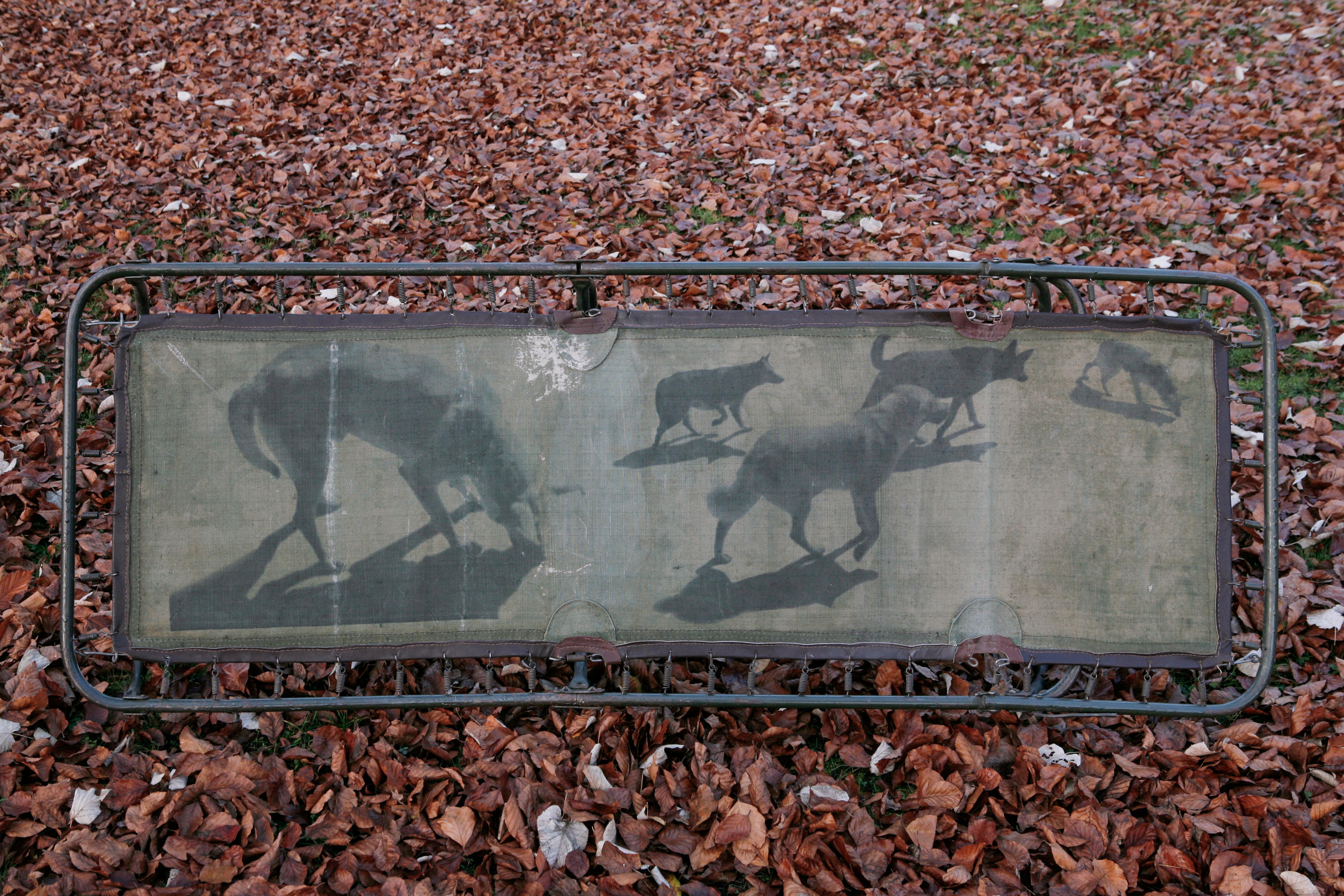 Sin título, Lobos de ciudad - Serie Stand, Fotografía contemporánea - Pintura Objeto - Photograph de Magdalena Peszkowska