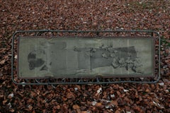 Untitled, Girl With Pigeons -  Contemporary Photography - Painting Object