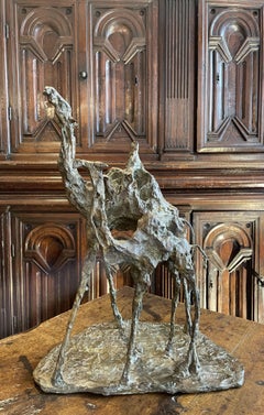 Magdalena Reinharez, Dromaderías