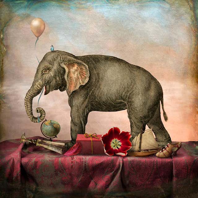 Maggie Taylor - Flight of fancy. For Sale at 1stDibs