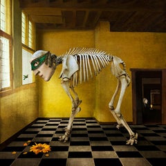 Elephant in the room.