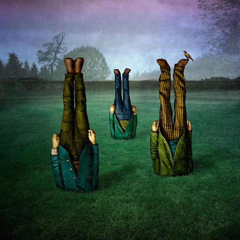 Garden - Photograph by Maggie Taylor