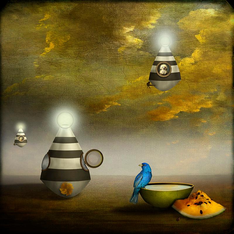 Maggie Taylor Color Photograph - Night trippers.