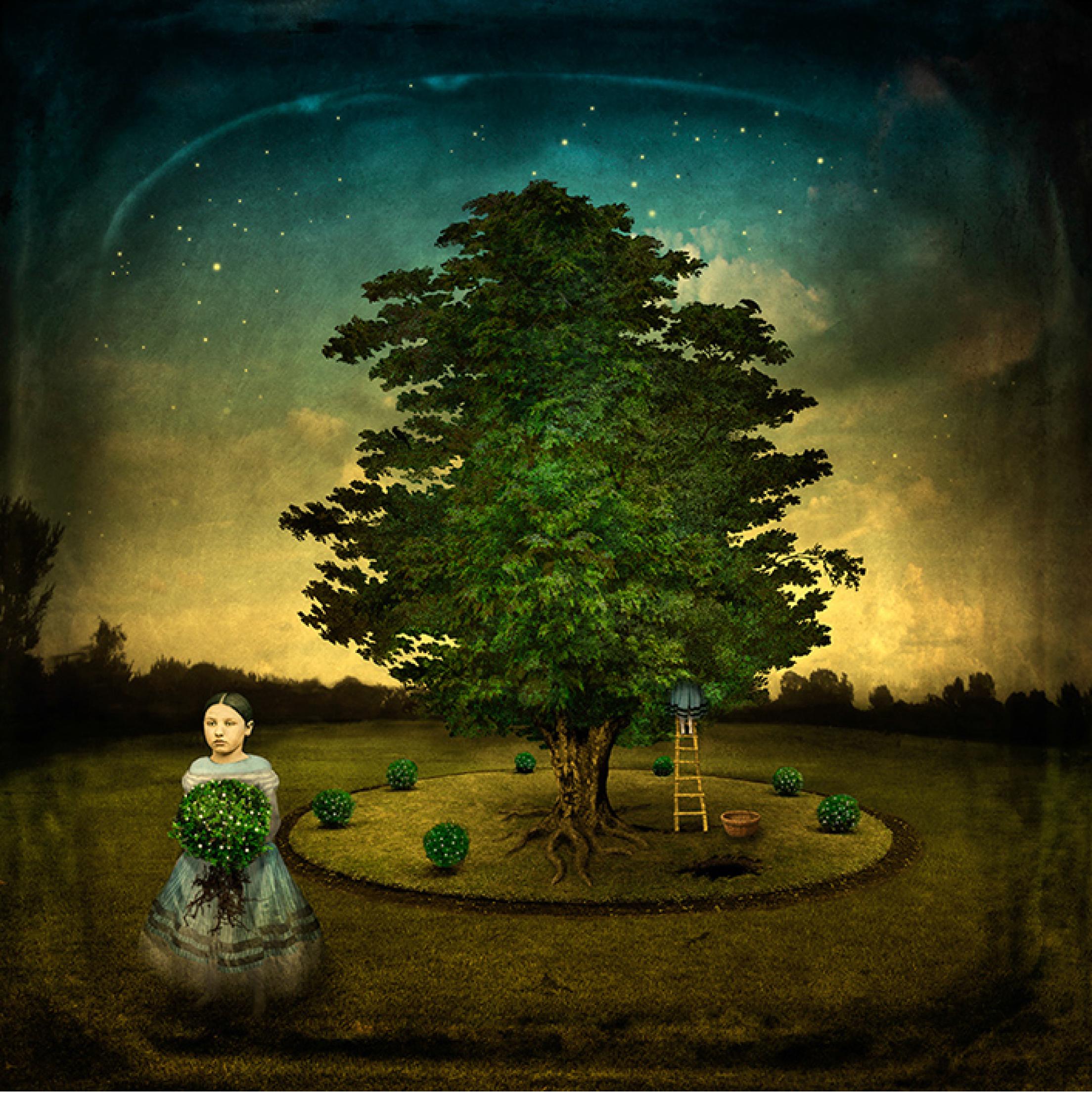 The garden game.