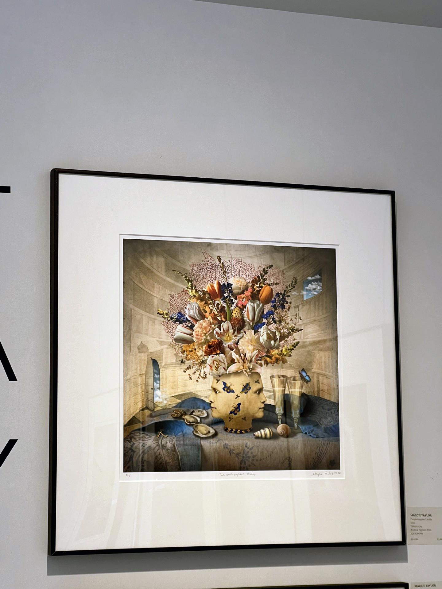 The philosopher's study. (Braun), Color Photograph, von Maggie Taylor