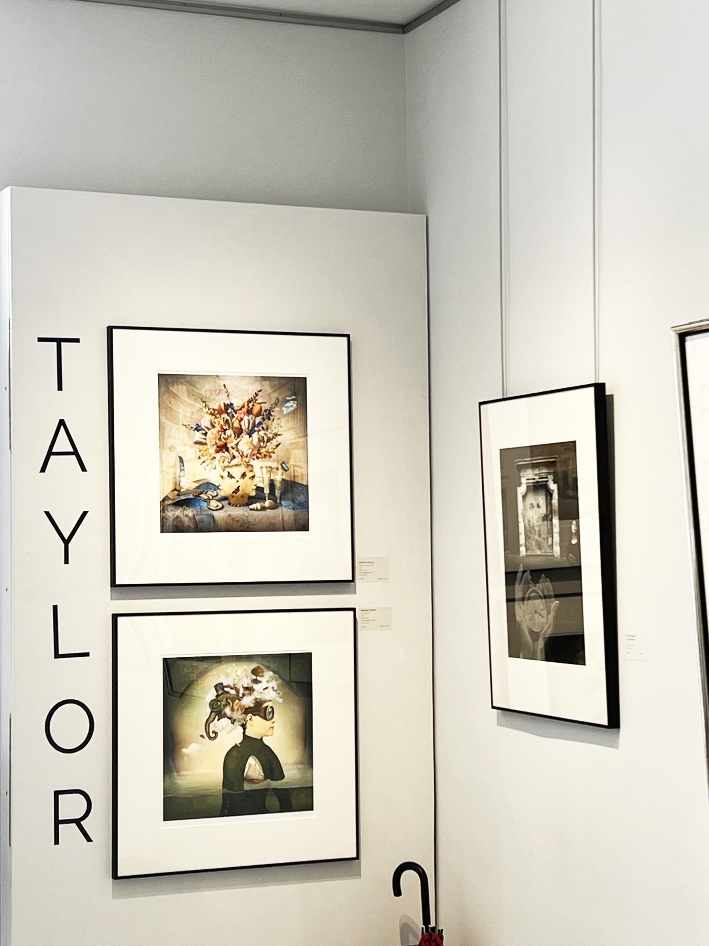 Maggie Taylor (geboren 1961 in Cleveland, Ohio) ist eine Künstlerin, die mit digitalen Bildern arbeitet. Im Jahr 2004 gewann sie den Projektwettbewerb des Santa Fe Center for Photography. Ihre Arbeiten wurden in den Vereinigten Staaten und Europa