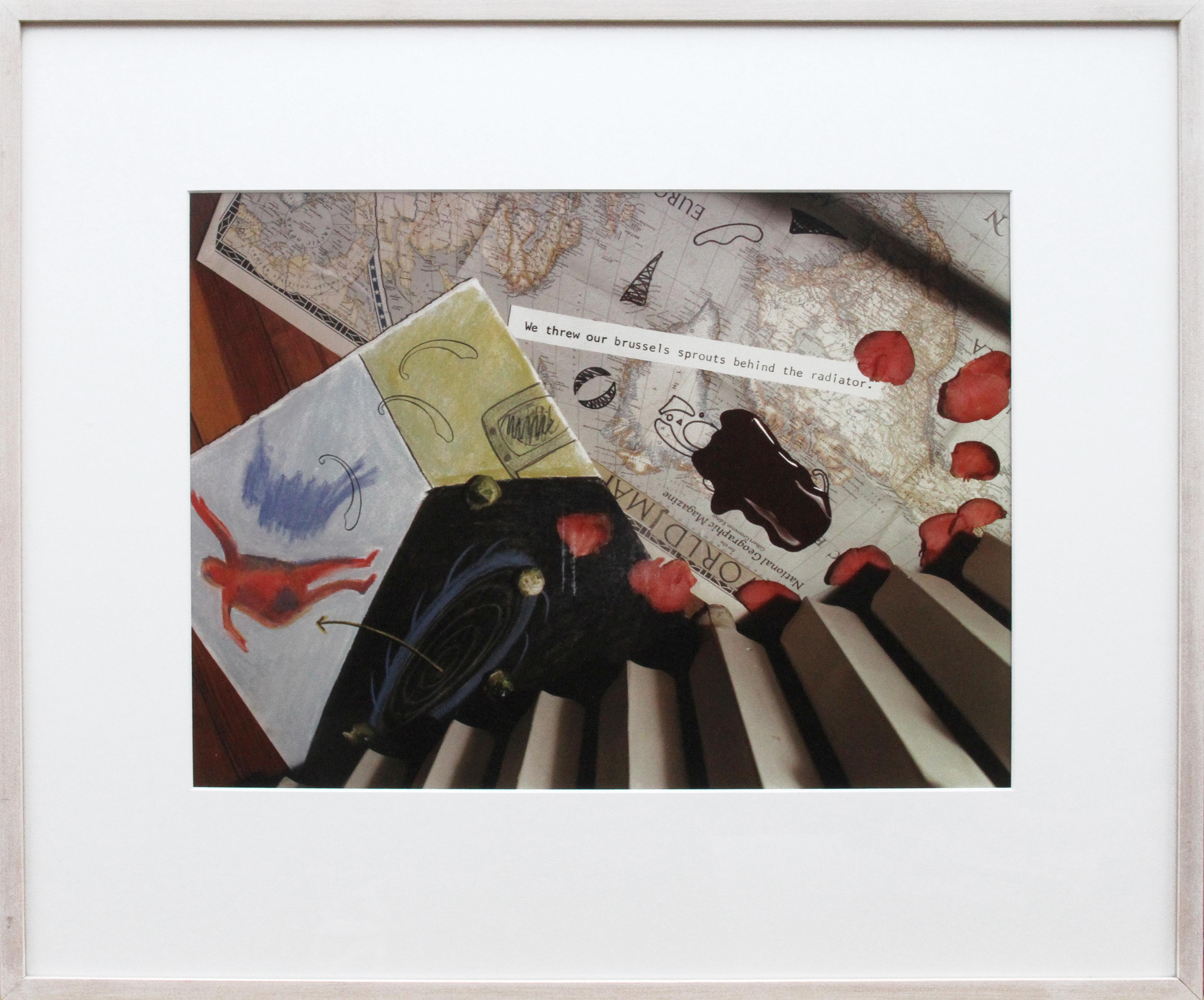 Artist: Maggie Taylor, American (1961 - )
Title: Untitled (We Threw Our Brussels Sprouts Behind the Radiator)
Year: 1988
Medium: Color Photograph
Edition: 15
Size: 12.5 x 16.5 in. (31.75 x 41.91 cm)