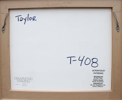 An He potrebbe essere uno straniero, foto, 1988, Maggie Taylor