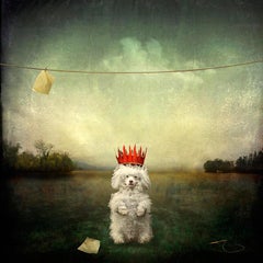 Wonderful, limited edition, archival pigment ink print, signed and numbered