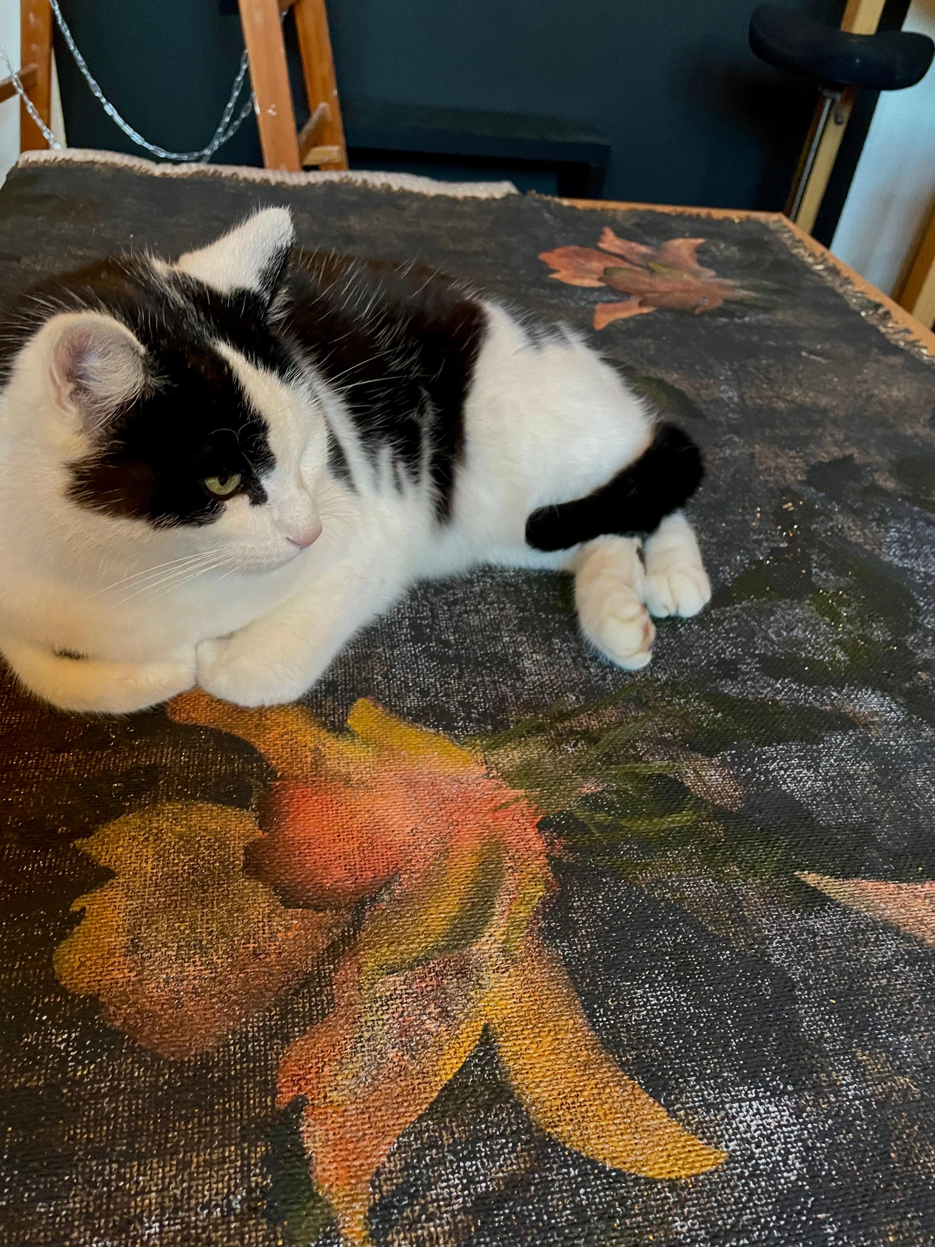 Flores mágicas en venta 2