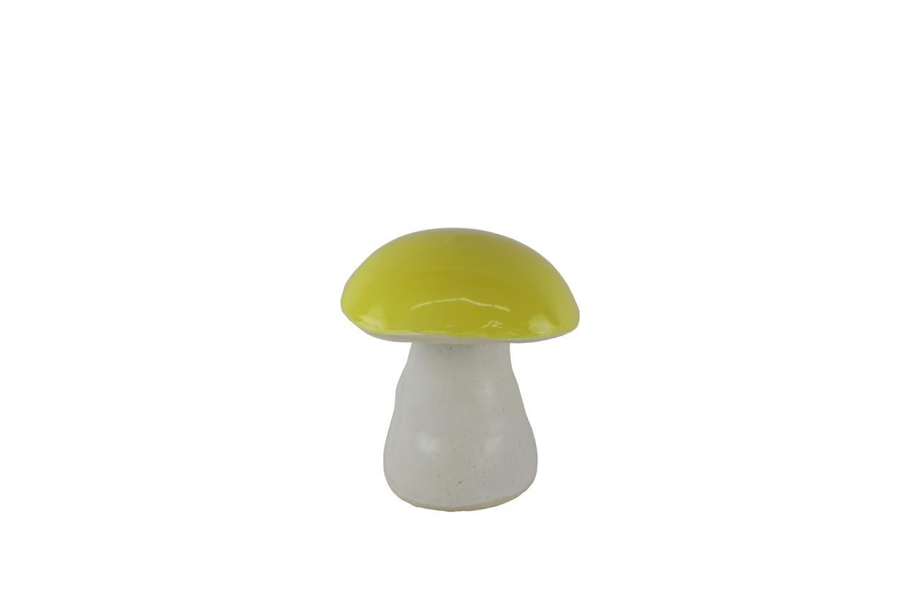 Vernissé Mushrooms magiques de Christopher Kreiling en vente