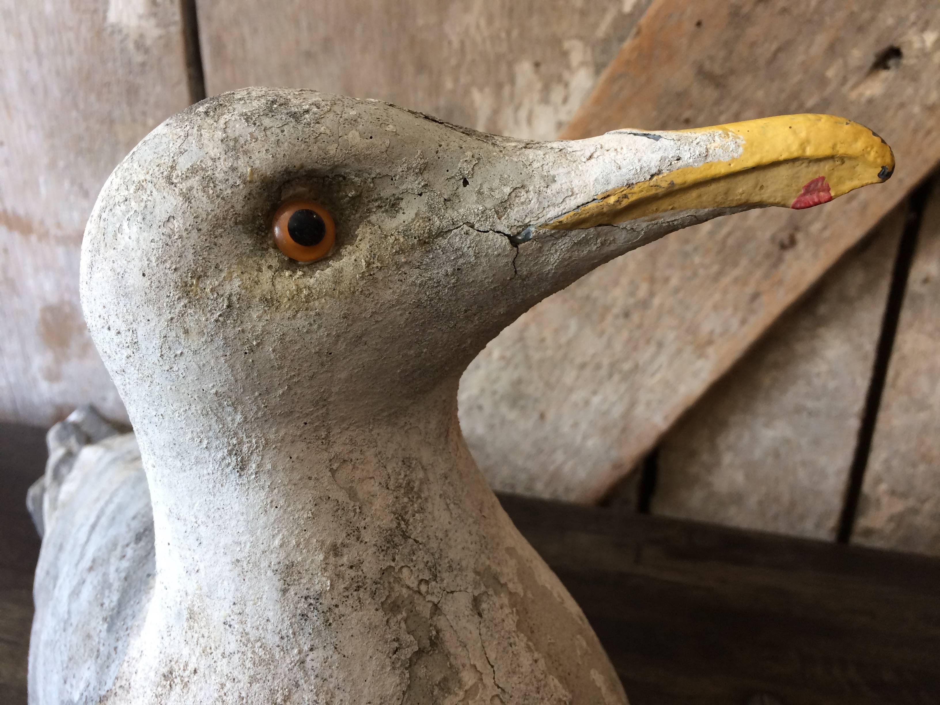 Charming life like concrete sculptures of seagulls, hand-painted and left in original distressed condition having glass eyes and their own unique positions.
The smaller one measures 18 L, 6.5 D, 11 H.