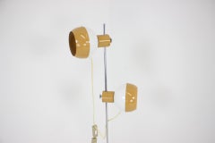 Magnetic Double Eye Ball Floor Lamp by Drukov, 1970s