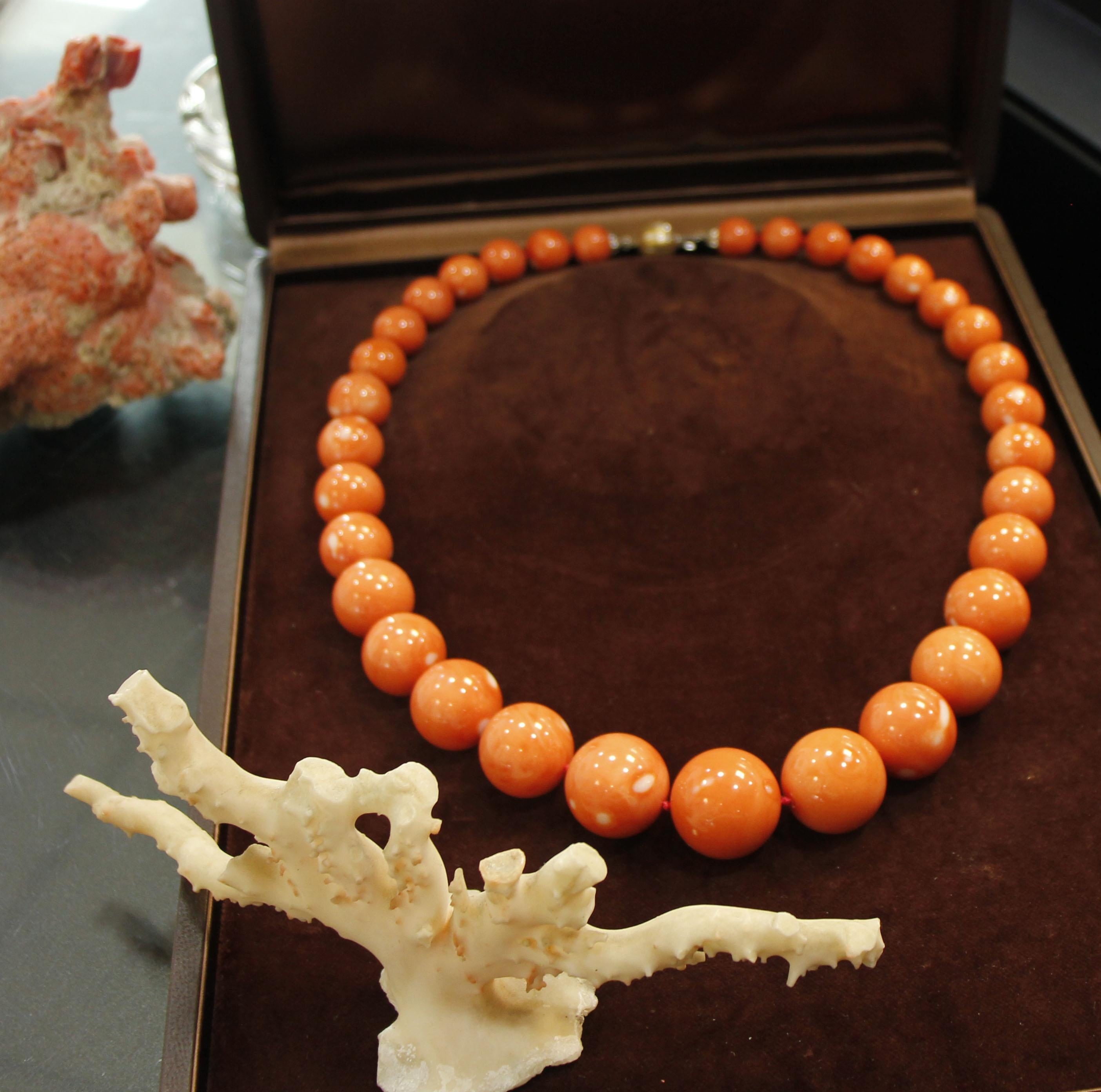 248.50 g of Red Spheres Coral, 18 Karat Yellow Gold Clasp, Beaded Necklace 4