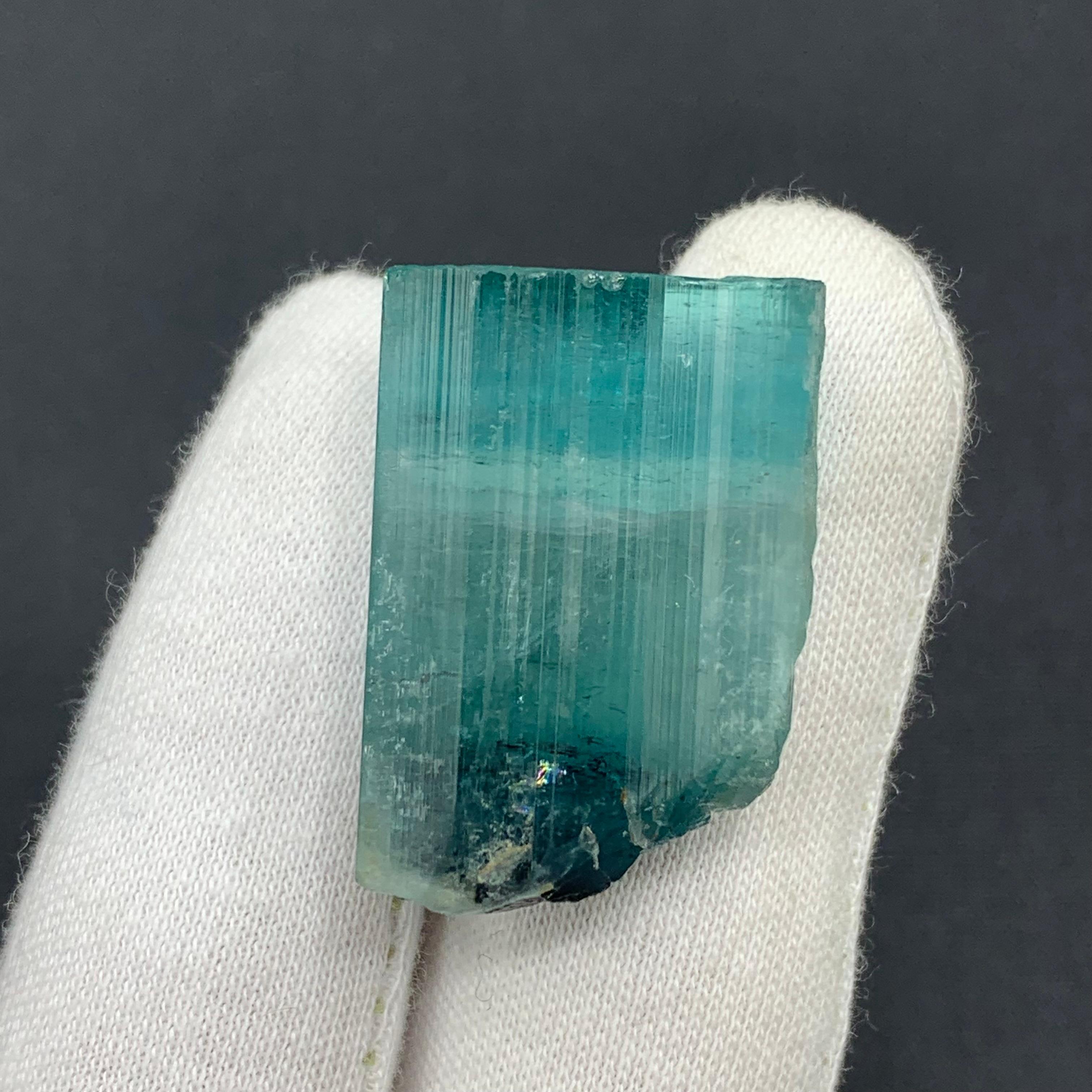 Stile Adam Magnifico cristallo di tormalina Nature da 13,80 grammi proveniente dall'Afghanistan in vendita