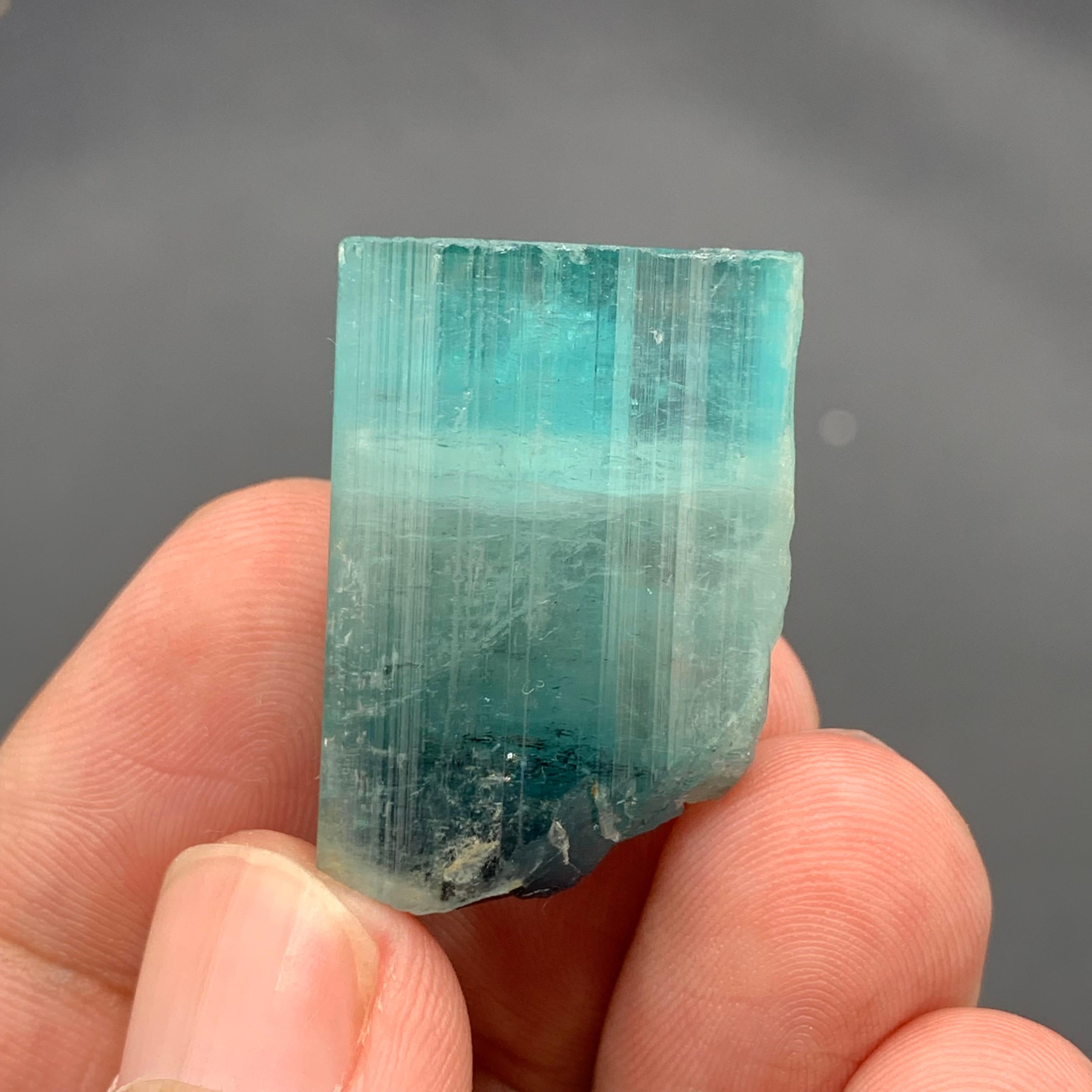 Magnifico cristallo di tormalina Nature da 13,80 grammi proveniente dall'Afghanistan In condizioni ottime in vendita a Peshawar, PK