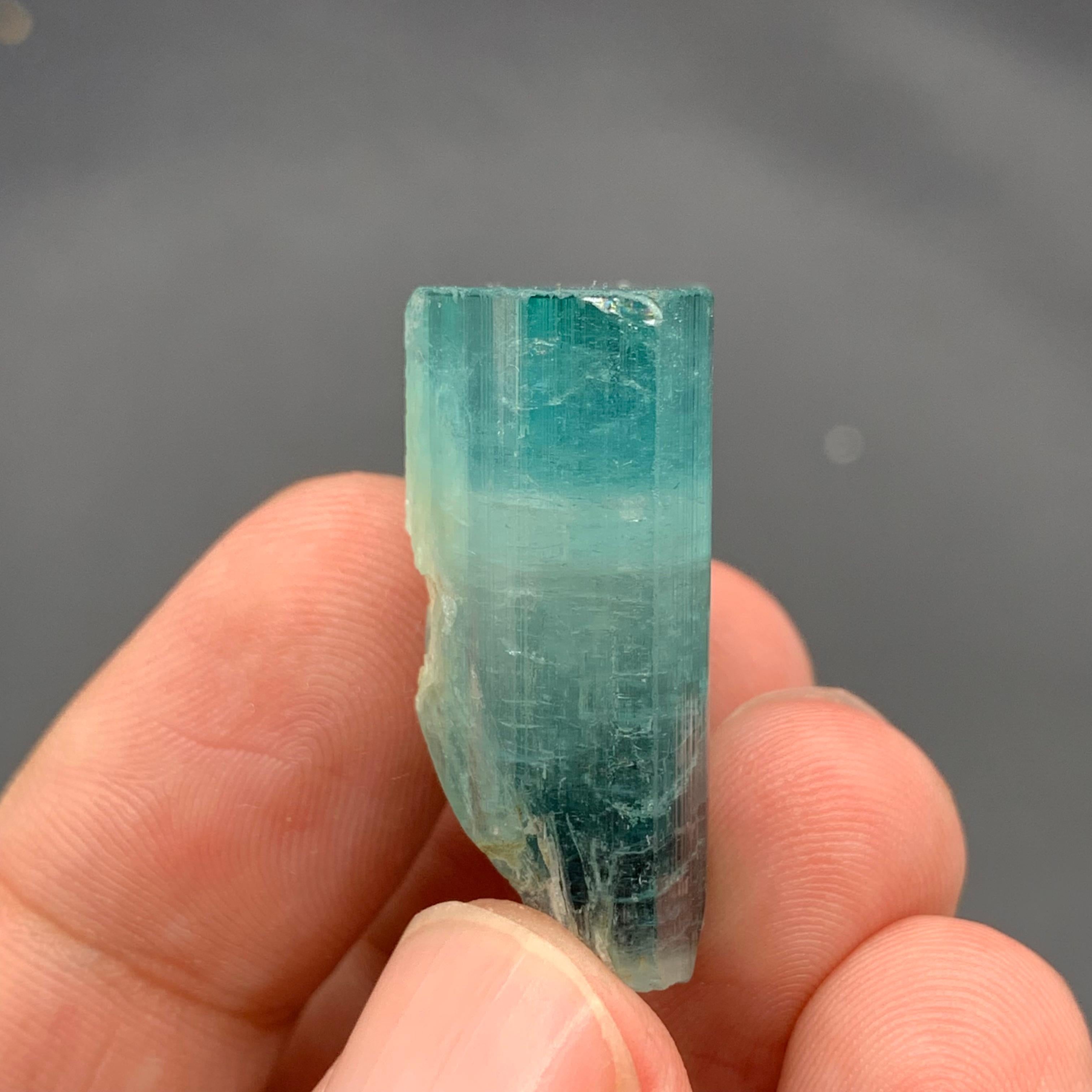 XXI secolo e contemporaneo Magnifico cristallo di tormalina Nature da 13,80 grammi proveniente dall'Afghanistan in vendita