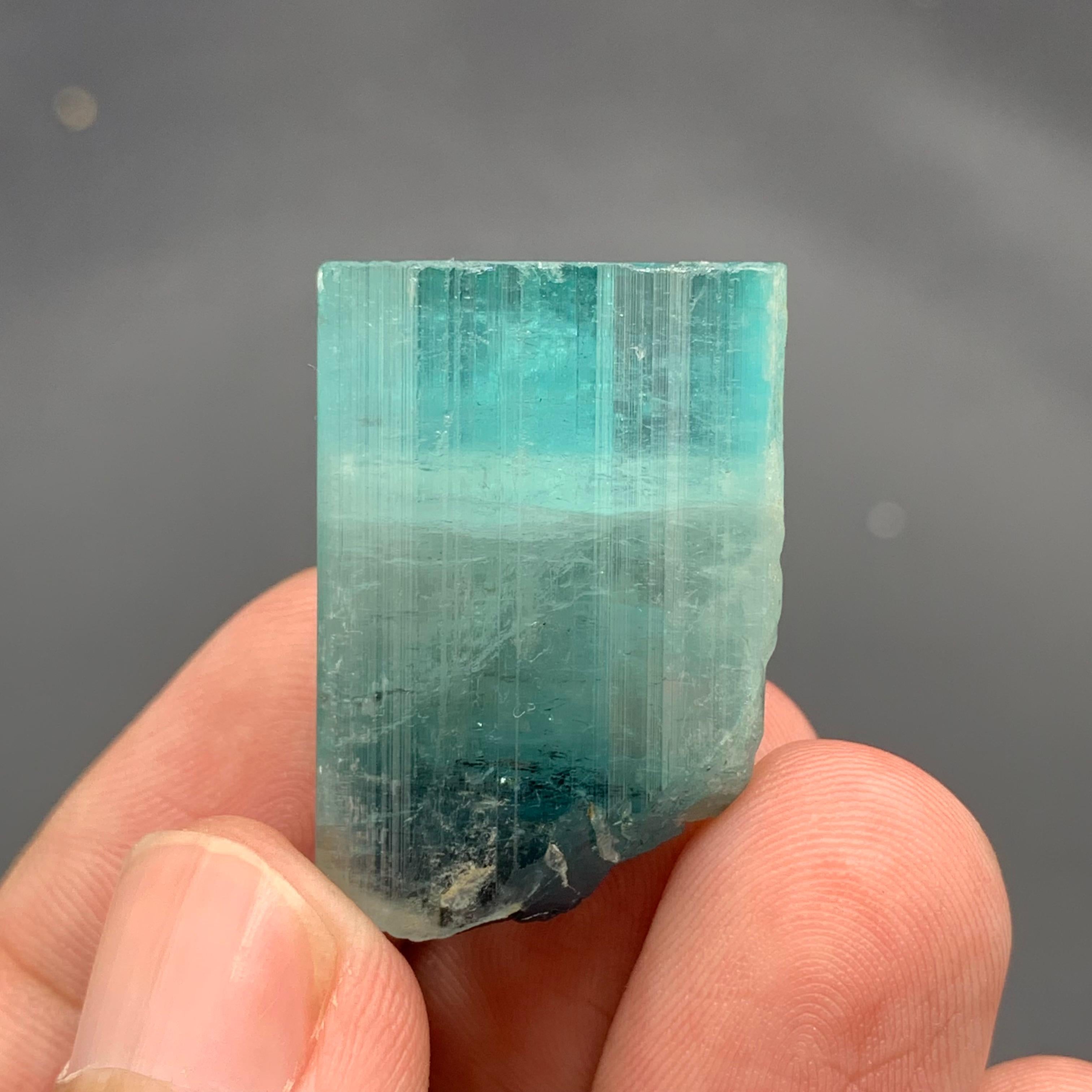 Altro Magnifico cristallo di tormalina Nature da 13,80 grammi proveniente dall'Afghanistan in vendita