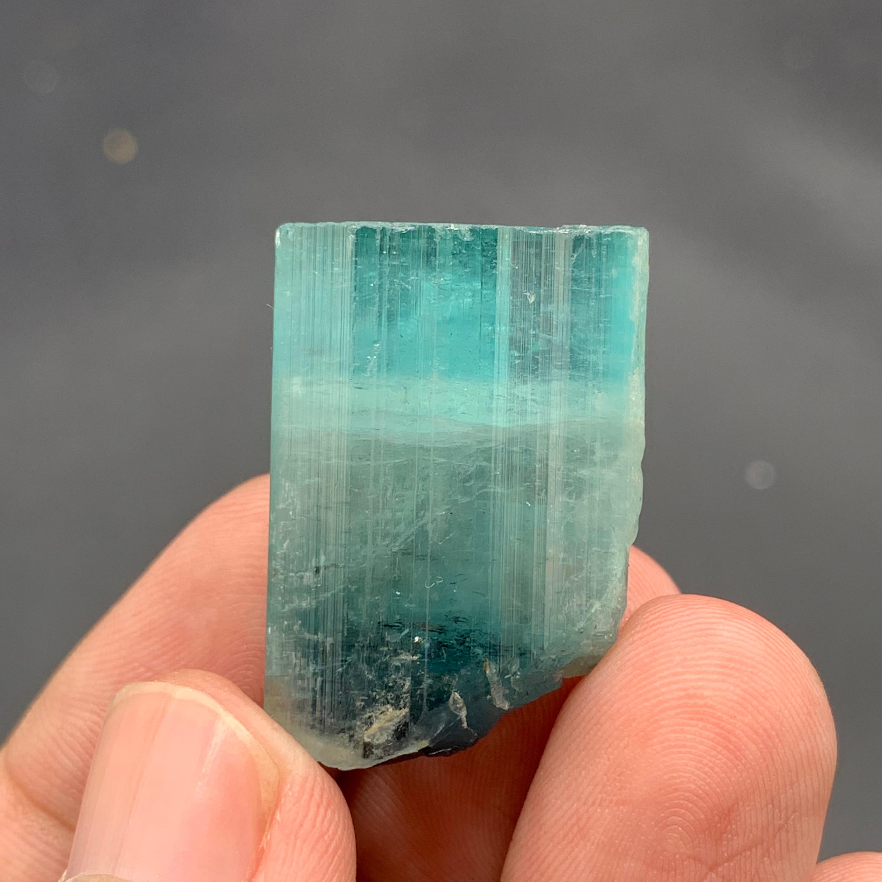 Magnifico cristallo di tormalina Nature da 13,80 grammi proveniente dall'Afghanistan in vendita 1
