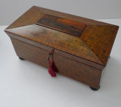 Magnificent and Rare Scottish Regency Penwork Tea Caddy c.1820 - Edinburgh