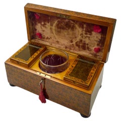 Antique Magnificent and Rare Scottish Regency Penwork Tea Caddy c.1820 - Edinburgh