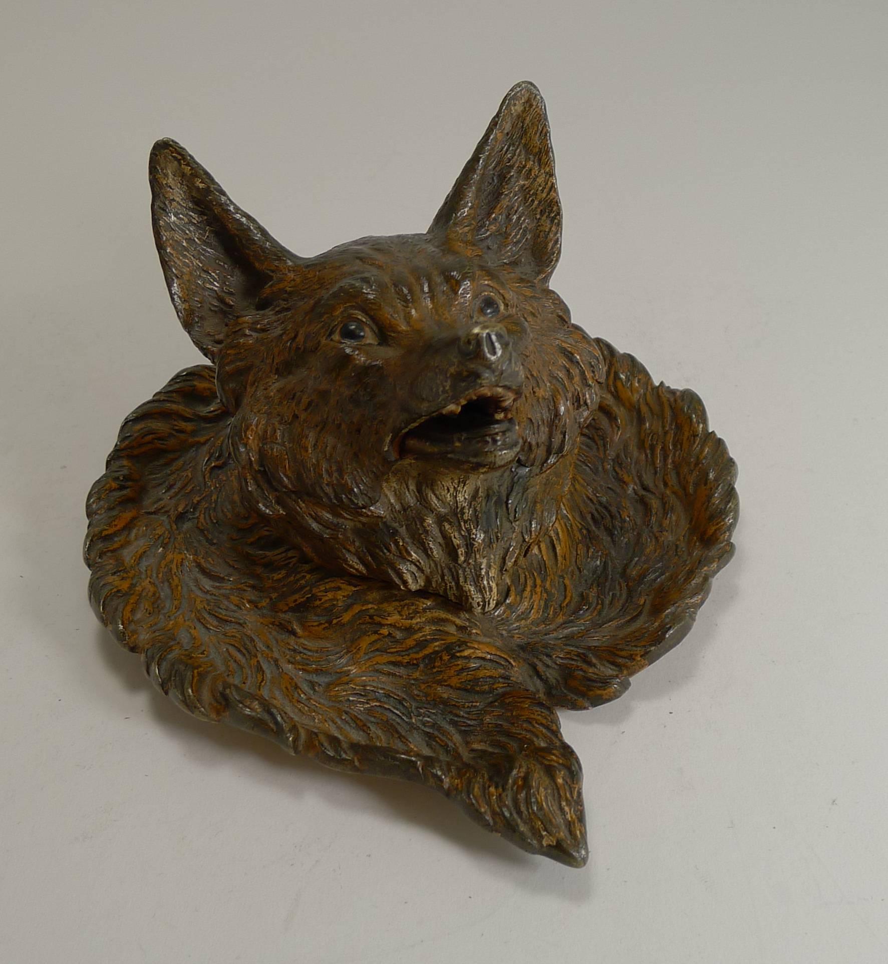 A scarce and highly sought-after Austrian cast bronze inkwell in the form of a fox with tail wrapped around as the base with the tip of the tail to the front.

Beautifully executed the hinged lid lifts to reveal the removable glass ink chamber