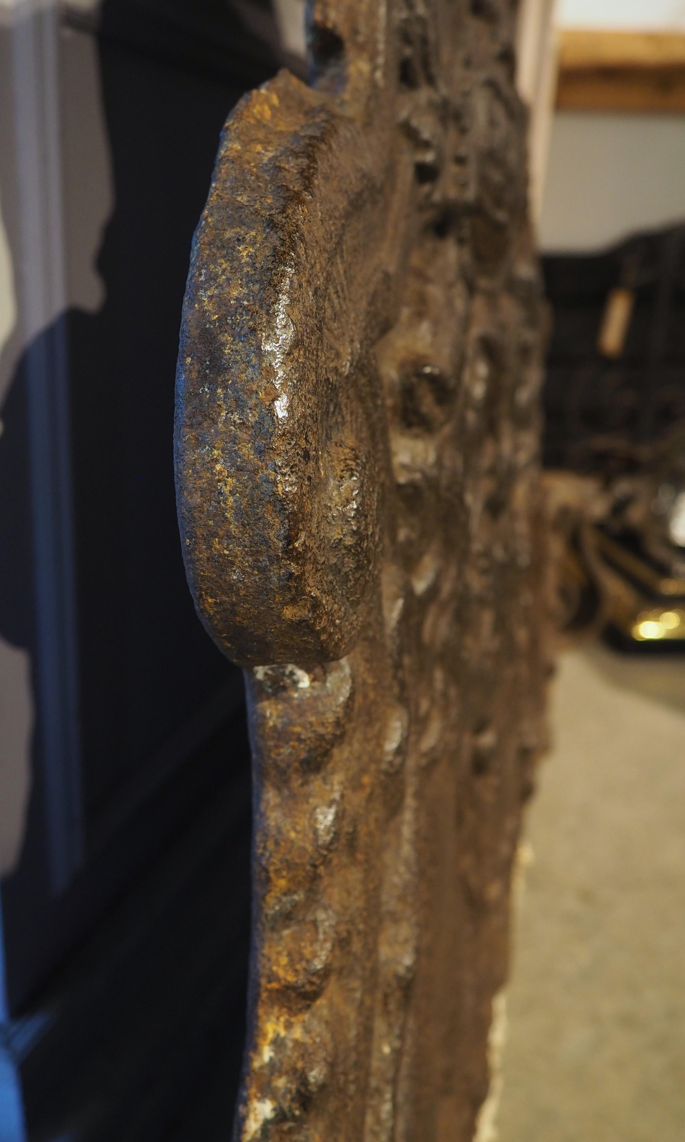 Magnifico caminetto araldico francese in ghisa, CIRCA 1700 in vendita 9