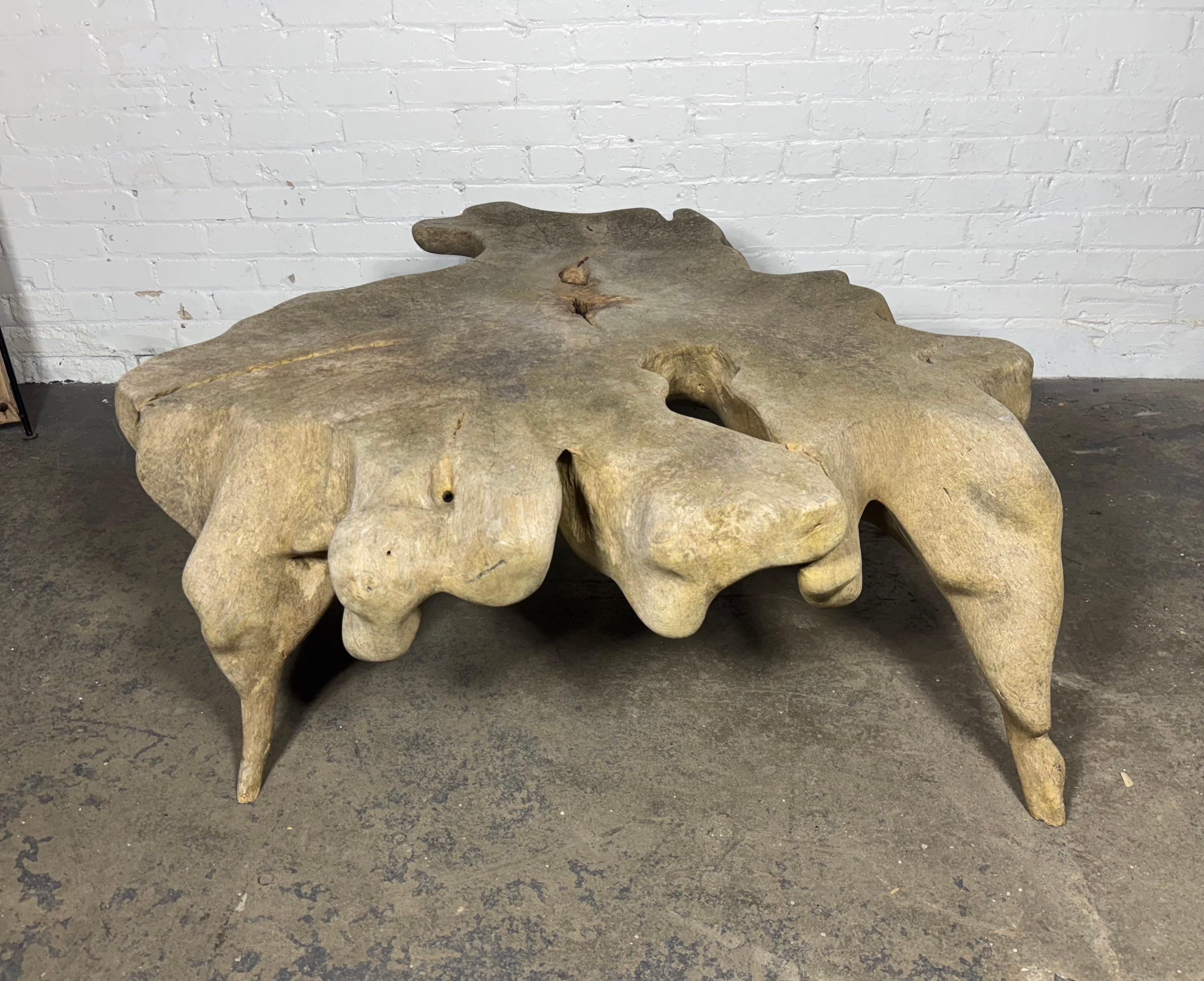 Magnificent Bleached Teak Hardwood Organic Root Coffee Table For Sale 4