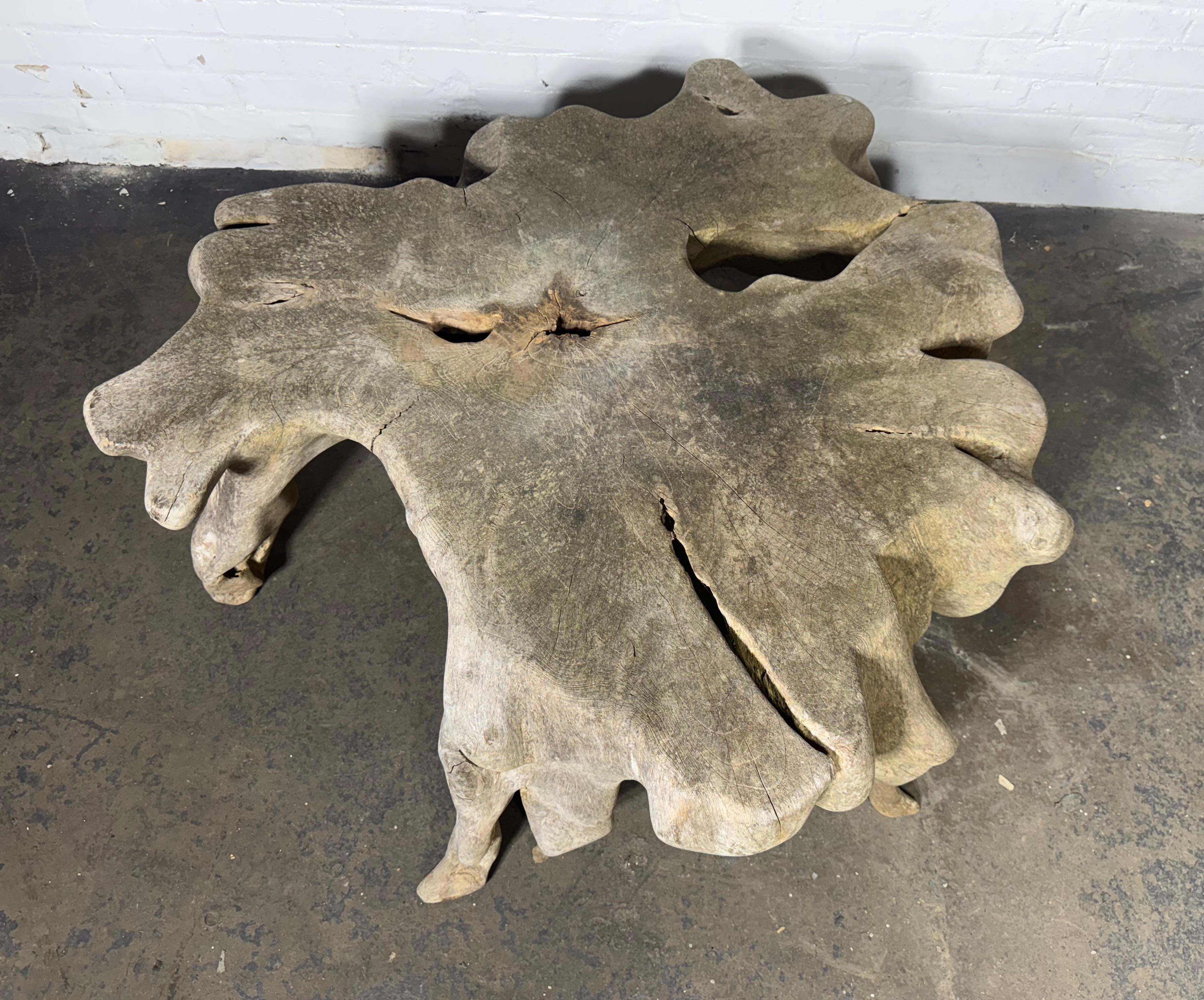 Magnificent Bleached Teak Hardwood Organic Root Coffee Table For Sale 7