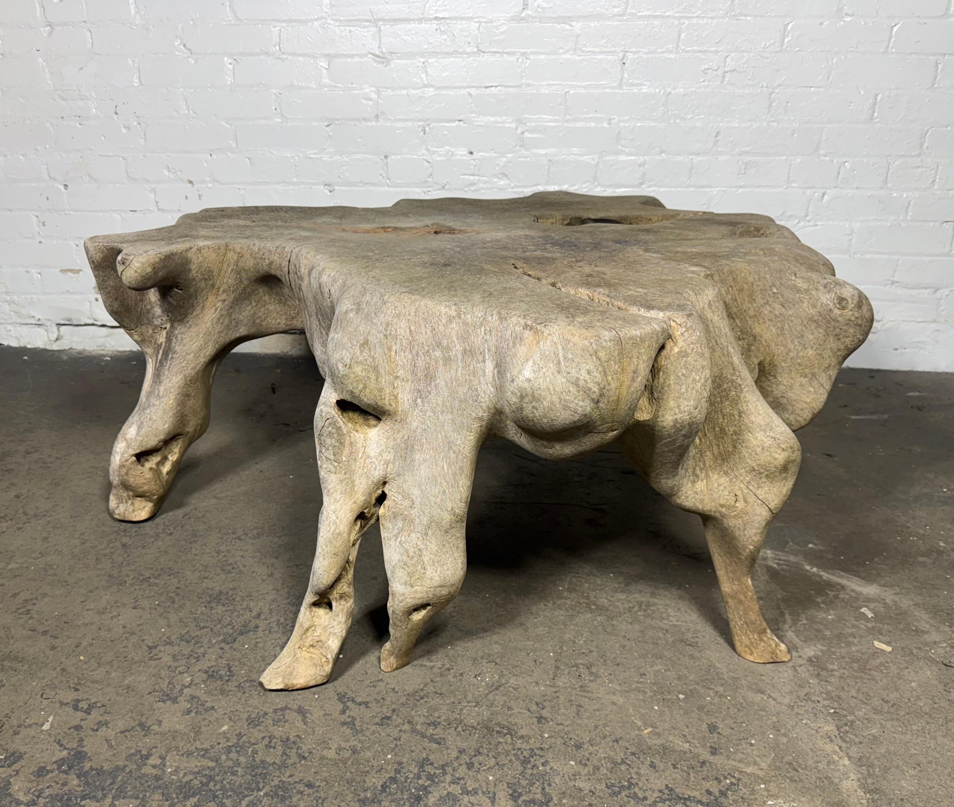 Magnificent Bleached Teak Hardwood Organic Root Coffee Table For Sale 8