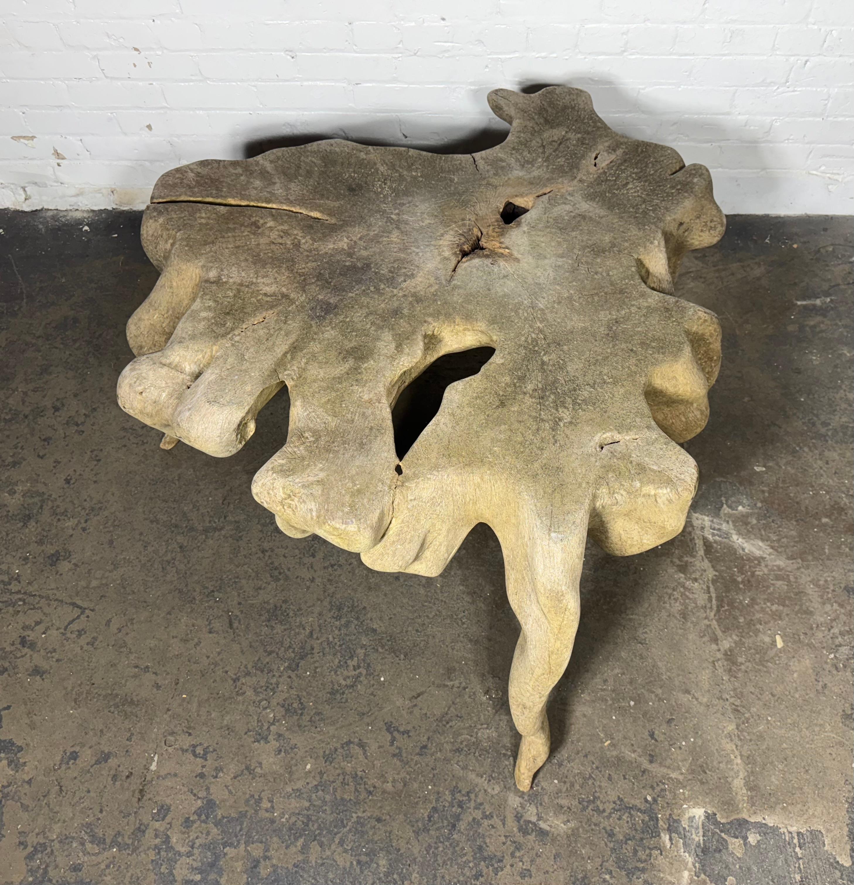American Magnificent Bleached Teak Hardwood Organic Root Coffee Table For Sale