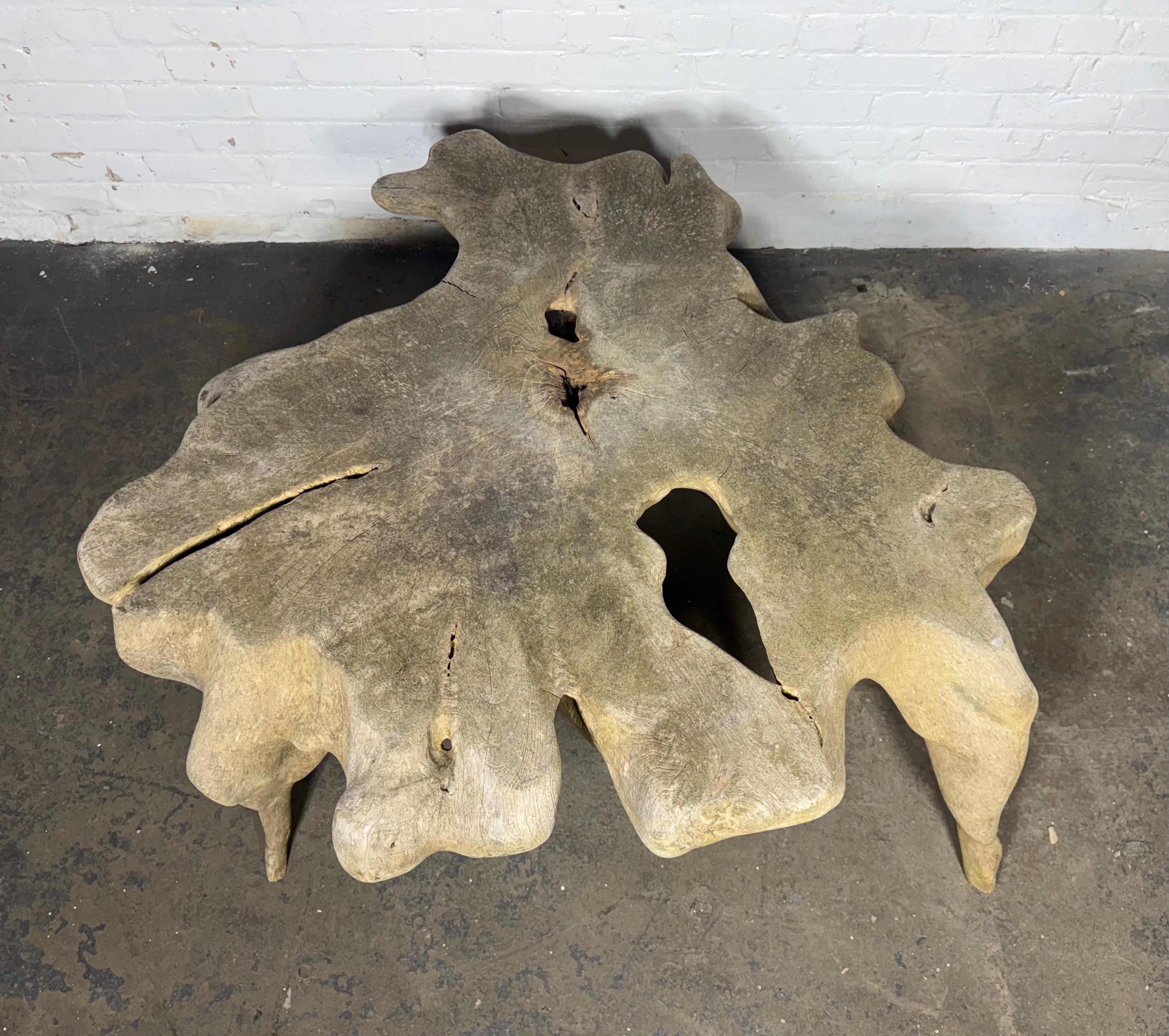 Magnificent Bleached Teak Hardwood Organic Root Coffee Table For Sale 3
