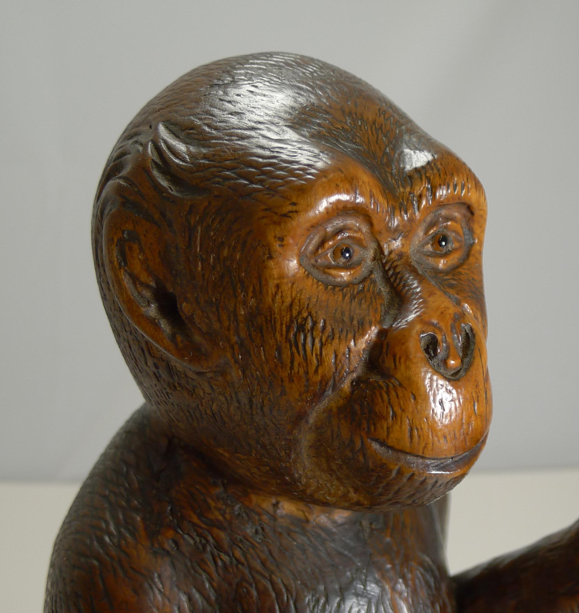 Magnificent Carved Black Forest Monkey Gong, circa 1890 For Sale 2