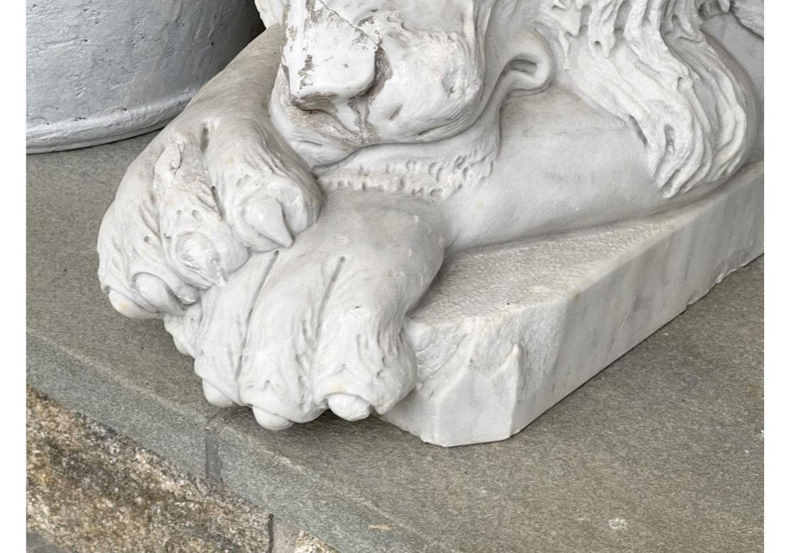 Magnificent Compatible Pair Of  Recumbent  Carved Marble Lions For Sale 6